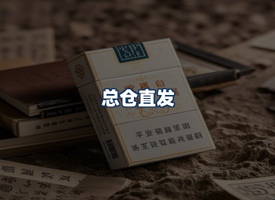 专业团队办公环境